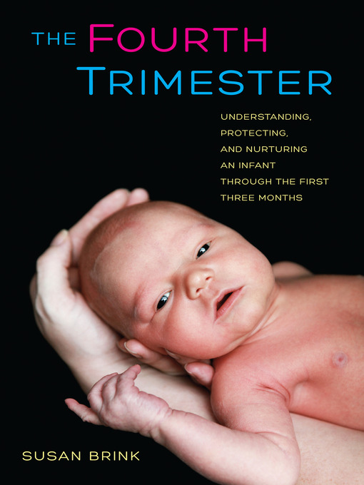 Title details for The Fourth Trimester by Susan Brink - Wait list